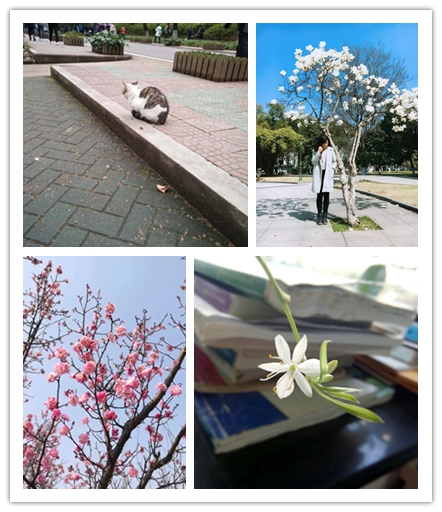三等奖梅换、凌佩、武清菊、周圣杰同学作品
