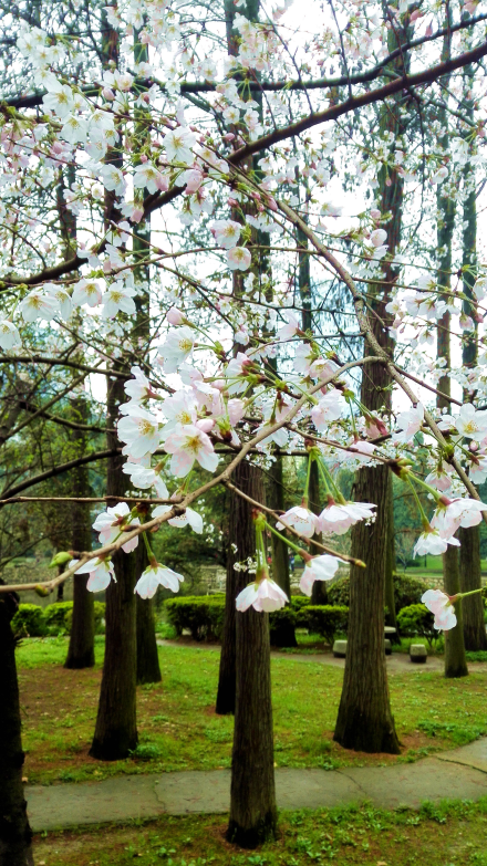 QQ截图20150518132255.png QQ截图20150518132255.png