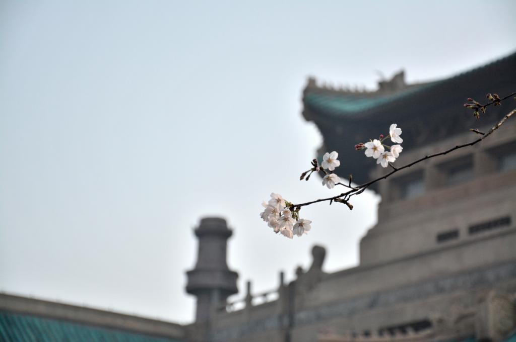 QQ截图20150518132503.png QQ截图20150518132503.png